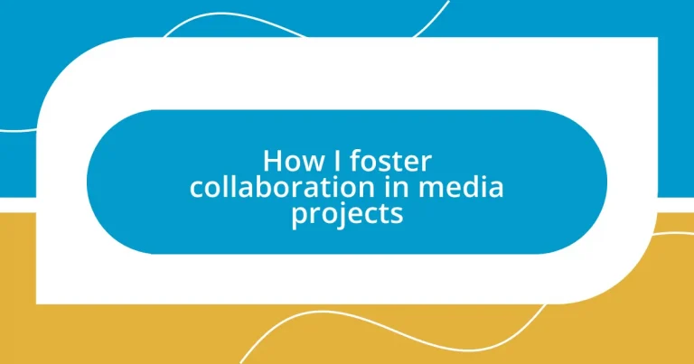 How I foster collaboration in media projects